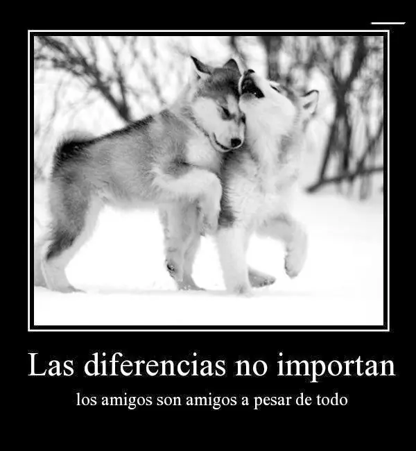 Como mantener una amistad y hacerla duradera.