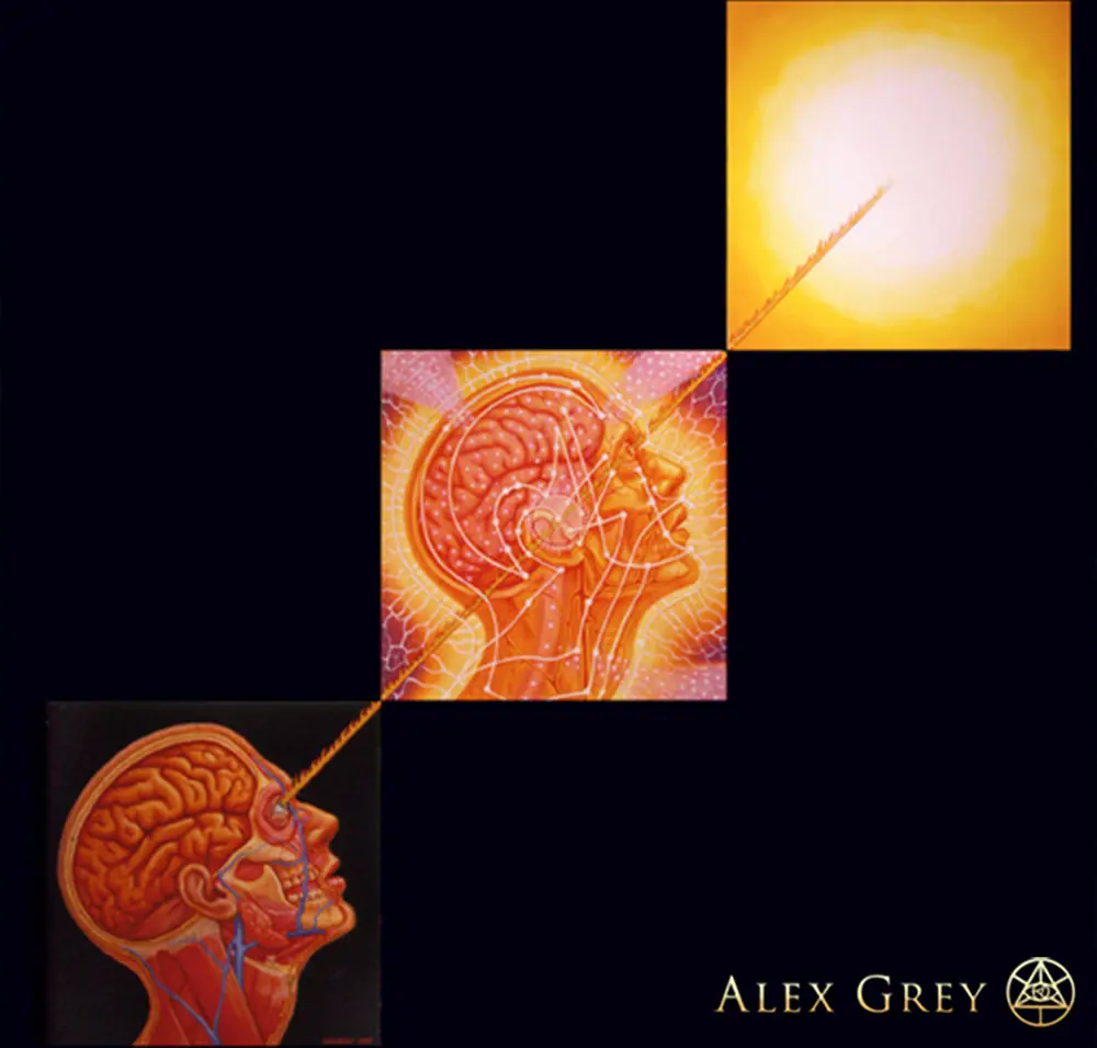 alex gray