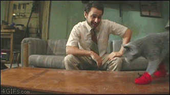 La gente es "Diabólica" [Gifs Parte 2] + 5 si te ries