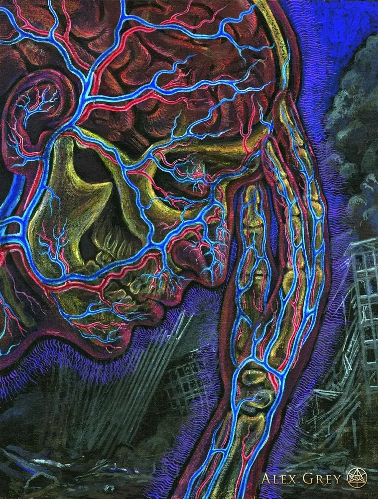 El arte psicodélico de Alex Grey