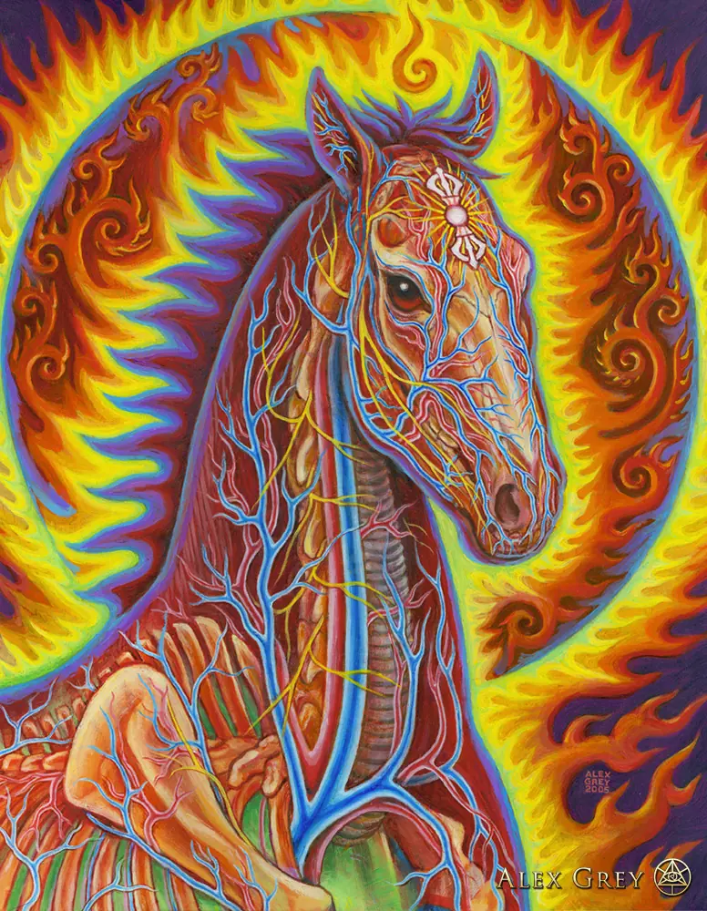 El arte psicodélico de Alex Grey