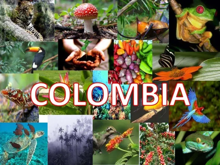 Razones: Colombia es uno de los mejores países del mundo