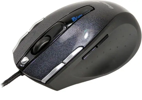 mouse