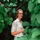 Las 10 mujeres científicas más significativas