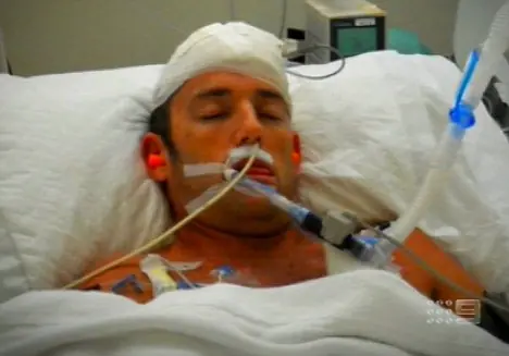 peliculas para descargar