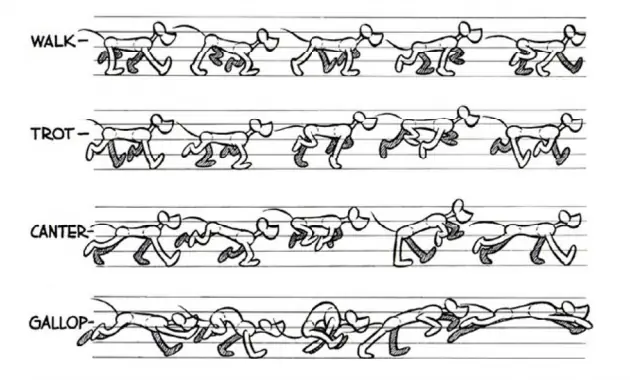 Aprende animacion con este post