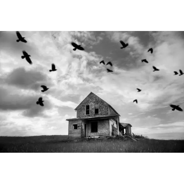 Crimenes y asesinatos extraños