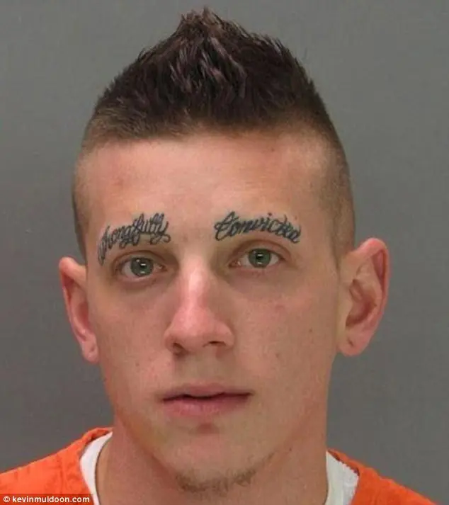 Cejas