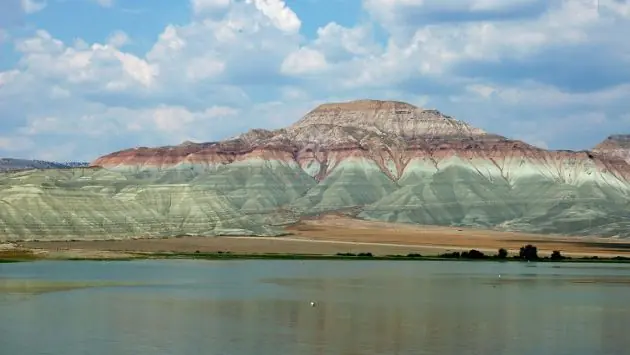 Datos Curiosos para Curioseadores Curiosos (2)