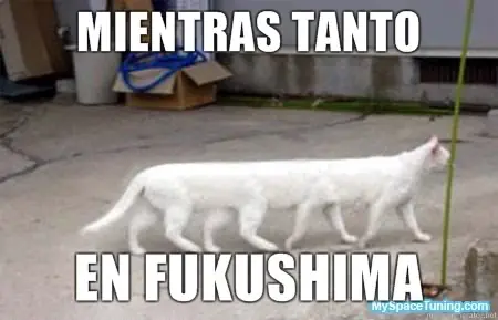 japoneses