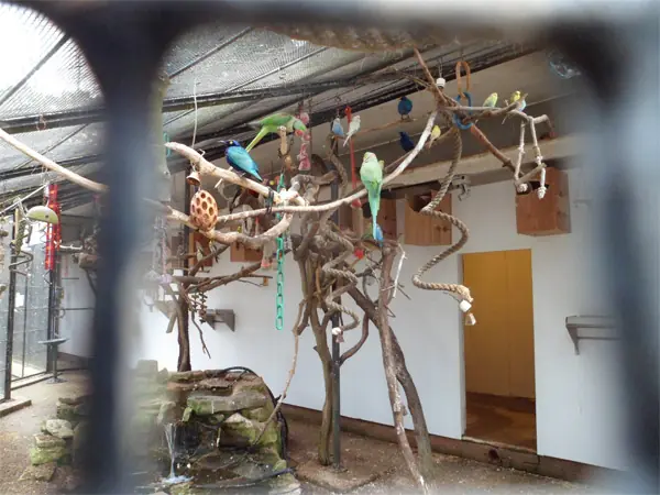 9 casos reales de niños criados por animales