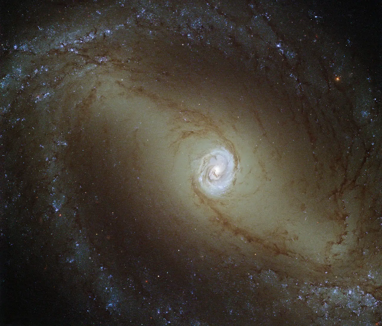via lactea