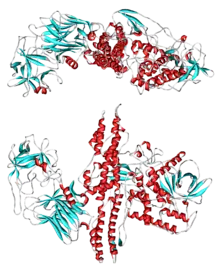 Comida enlatada una arma Biologica.