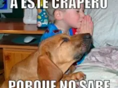 que picardia