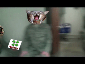 guerra