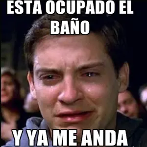 meadita