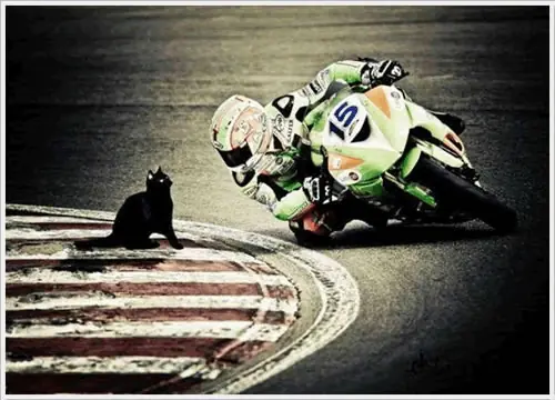 humor