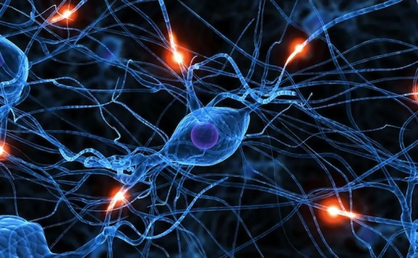 18 Cosas que quizás no sepas sobre tu cuerpo.