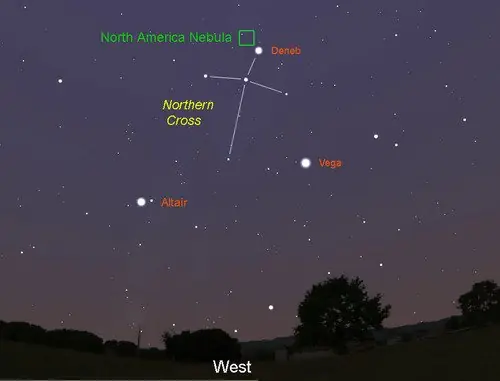 ¿Están muertas casi todas las estrellas que podemos ver?