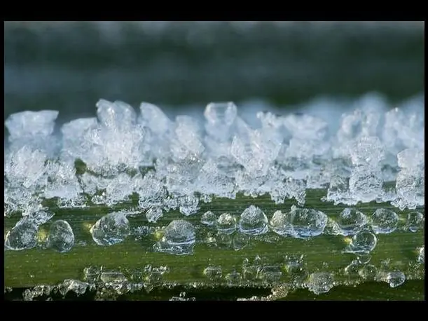 Datos Curiosos para Curioseadores Curiosos (3) (Megapost)