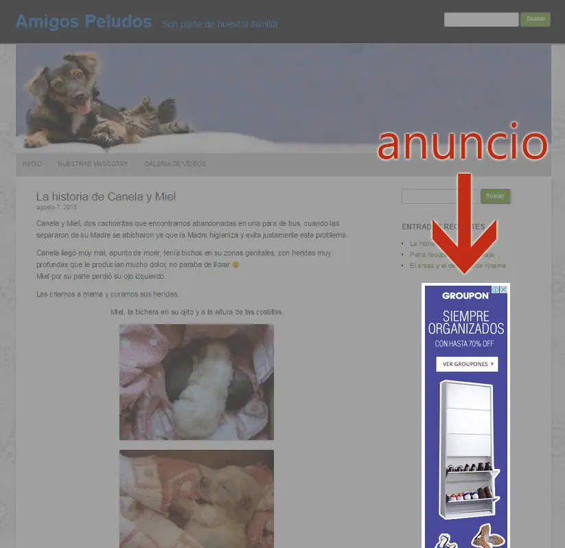 Verdad o mentira? (mensajes en taringa)