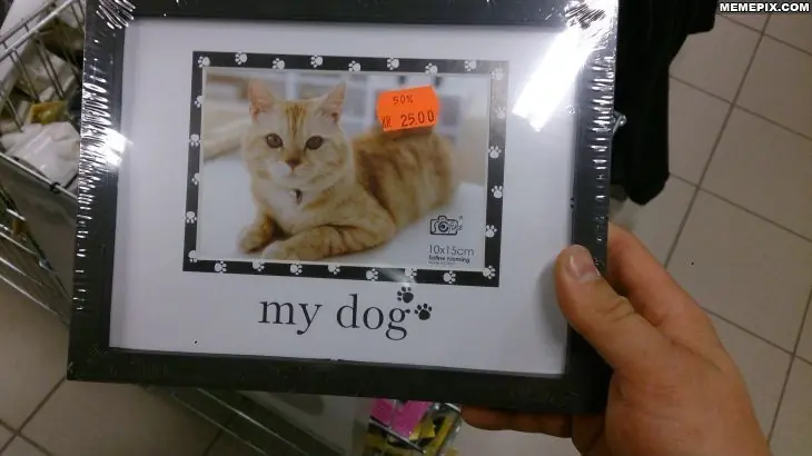 fail