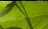 Ubuntu