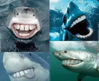 MegaPost de humor variado parte 1