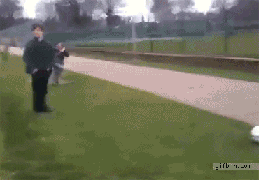 Gifs