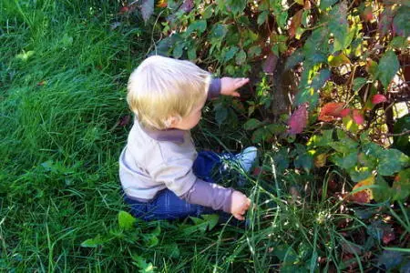Esto es Hermoso! Trata de no Llorara!