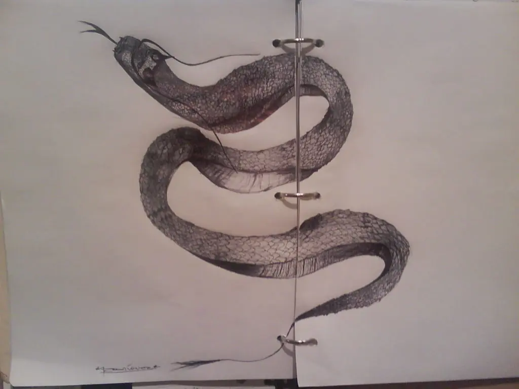 dibujo
