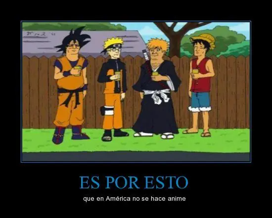 fotos