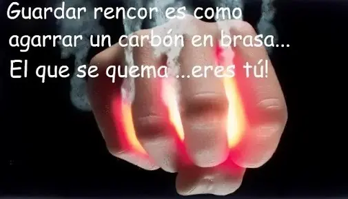 Cuando Seas Viejo Te Arrepentiras De No Haber Hecho Esto