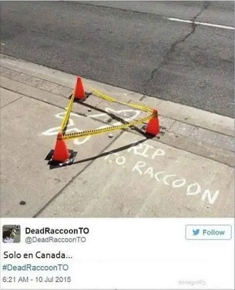 troll