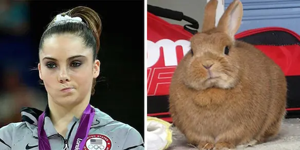 Fotos bizarras de parecidos entre cosas muy distintas