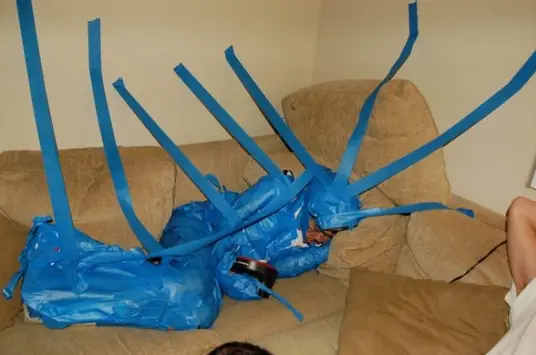 Gente que se desmayó por el alcohol y despertó pintada