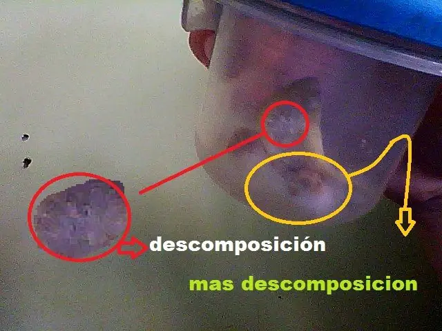 ilimitado