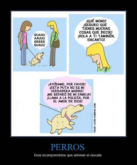 chistosas