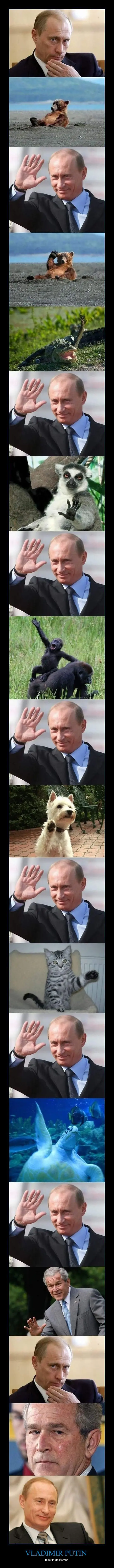 Relajate un rato, maquinola......