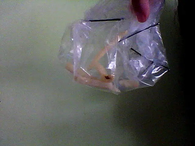 mc