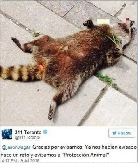 chistes