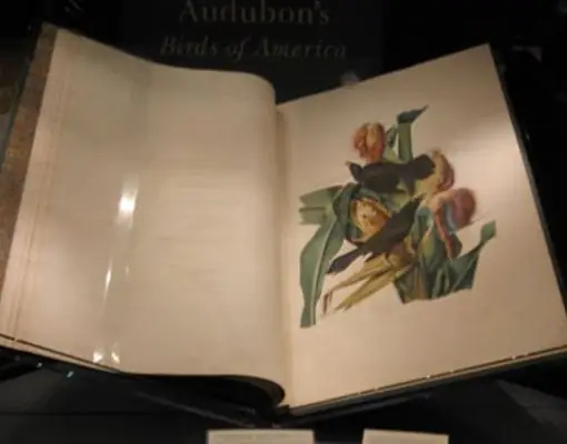 Los 10 Libros más Caros del Mundo