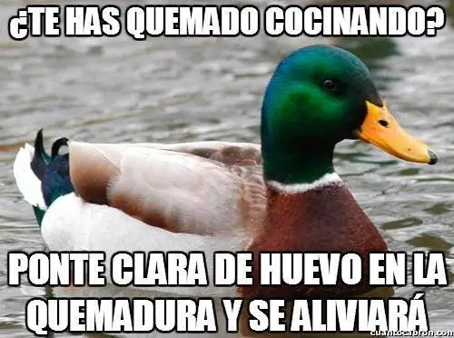 consejero