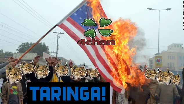 [Encuesta]  ¿Como debería haber sido el atque a 4chan?