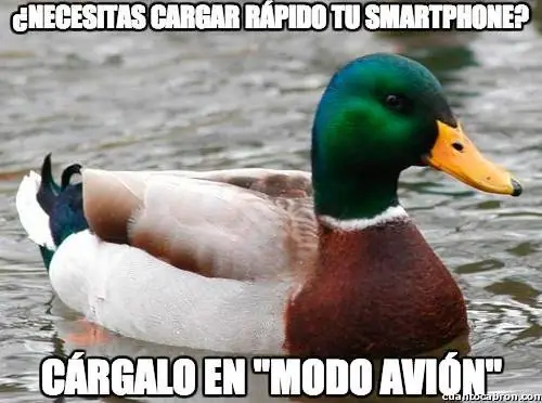 consejero