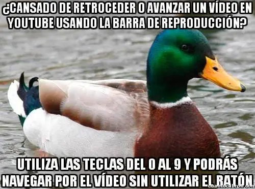 Consejos del pato consejero que debes leer