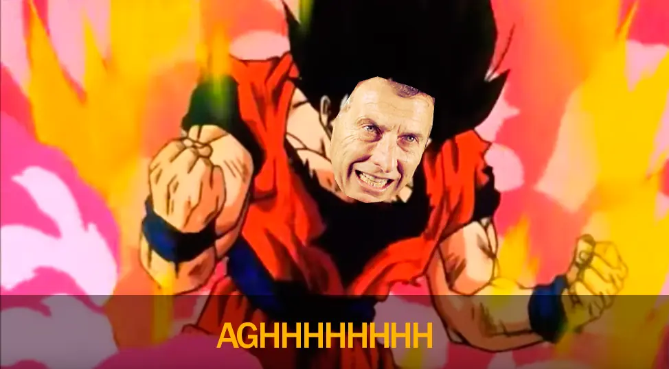 elecciones 2015