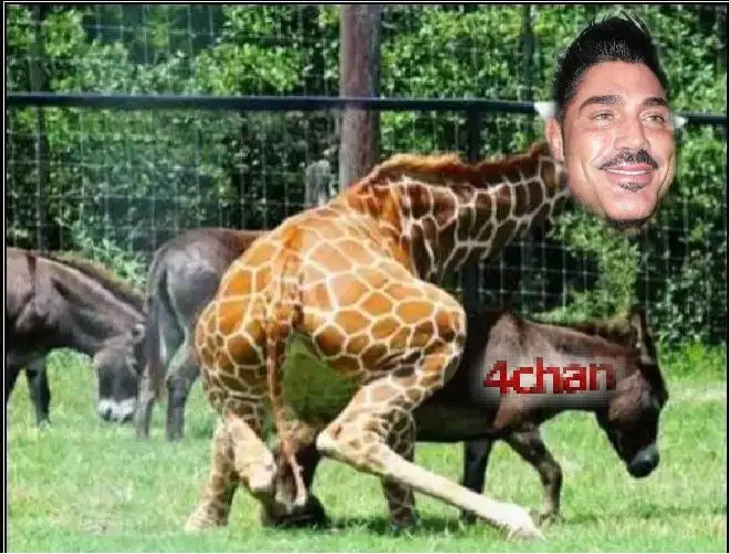 Memes de Taringa vs 4chan