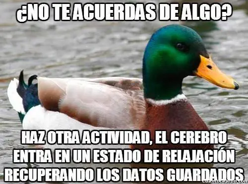Consejos del pato consejero que debes leer