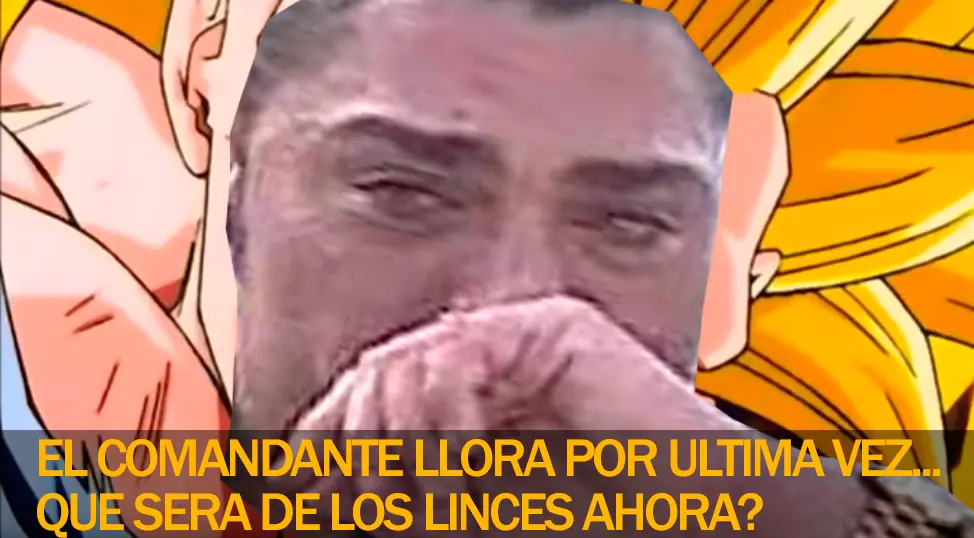 elecciones 2015